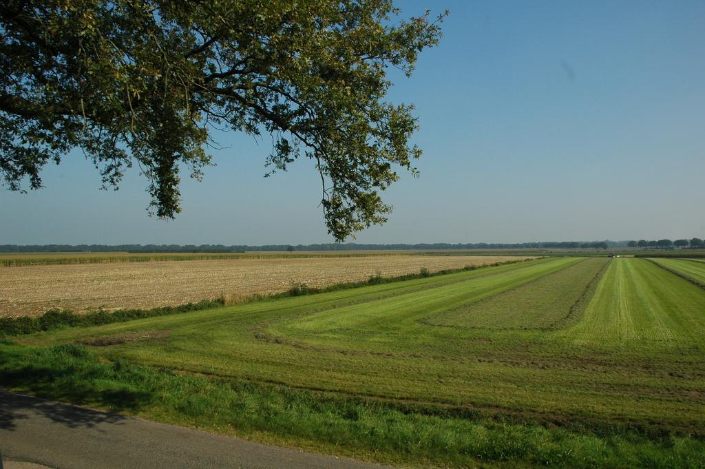 Huize Ouwervelden Bed & Breakfast Wouwsche Plantage Luaran gambar
